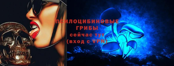 стаф Алзамай