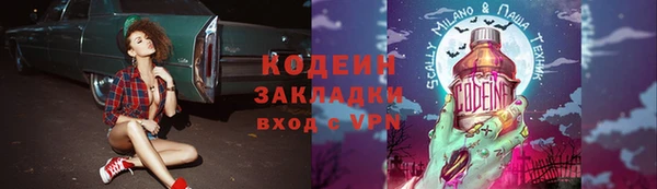 индика Абаза