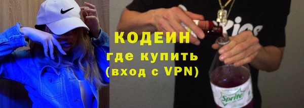индика Абаза
