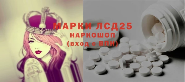 стаф Алзамай