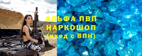индика Абаза