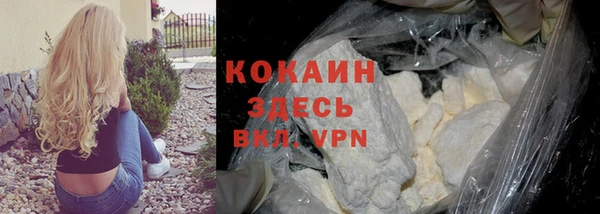 индика Абаза