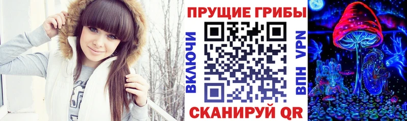 Галлюциногенные грибы Cubensis  Абакан 