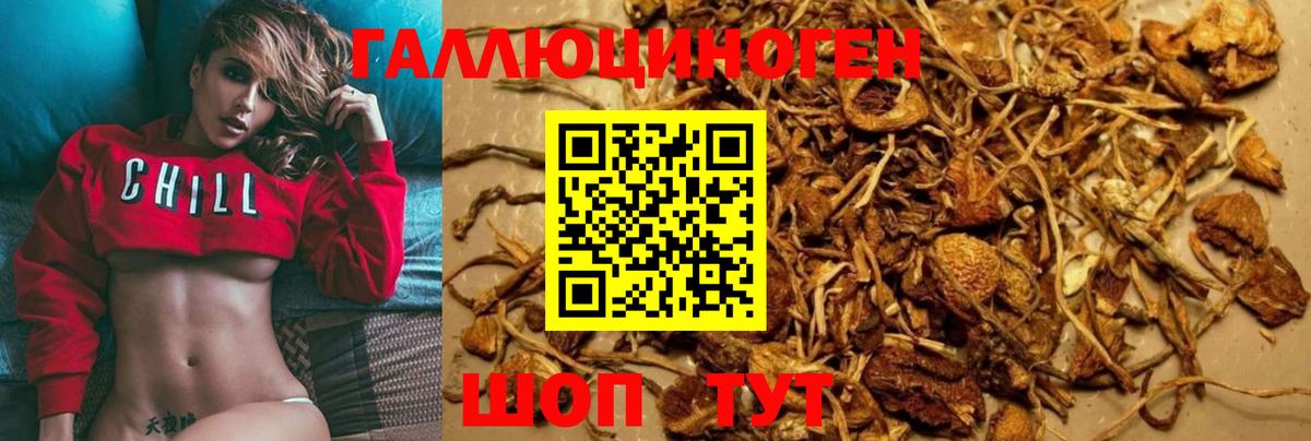 Псилоцибиновые грибы ЛСД Абакан